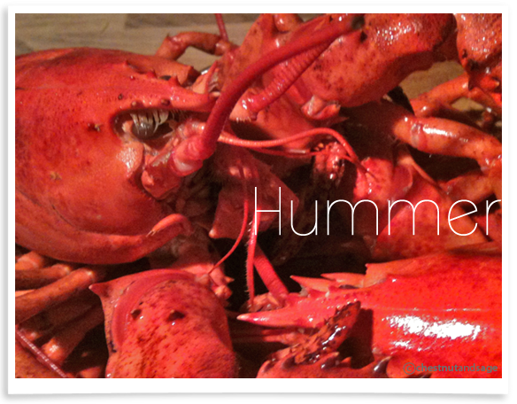 Hummer Hummer