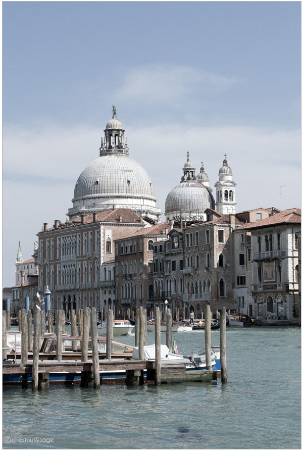 Venedig Santa Maria della salute | chestnutandsage.de