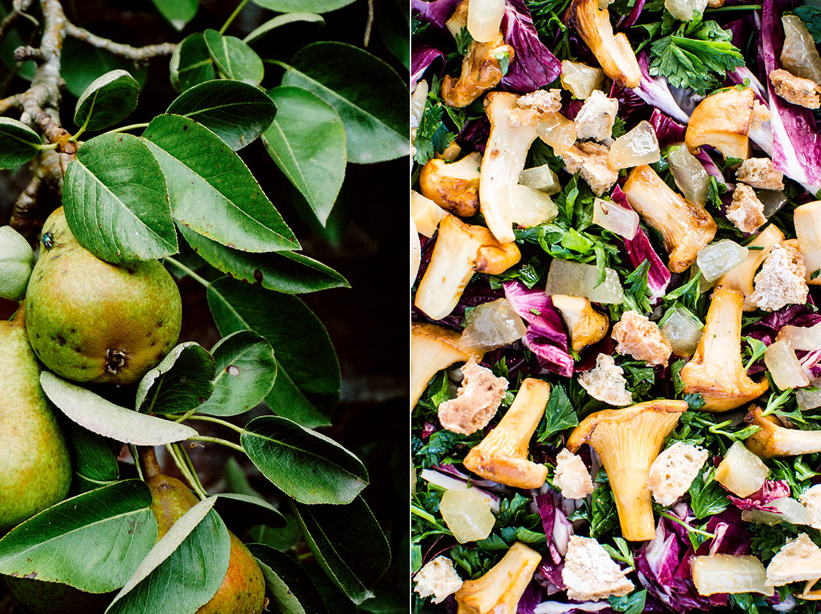 Salat mit Pfifferlingen und Gewürzbirnen | chestnutandsage.de