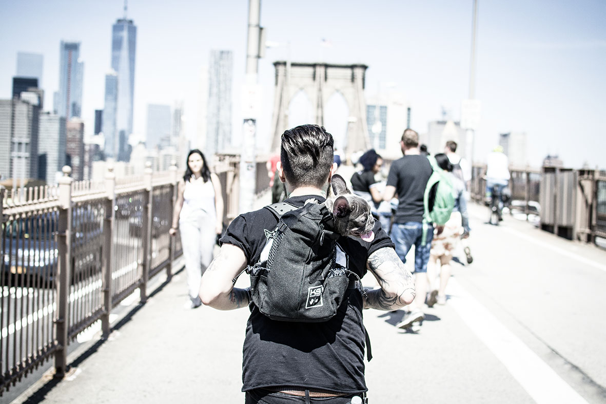 NYC | BrooklynBridge | chestnutandsage.de