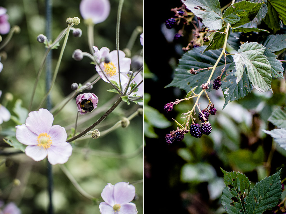 Sommer im Garten | chestnutandsage.de