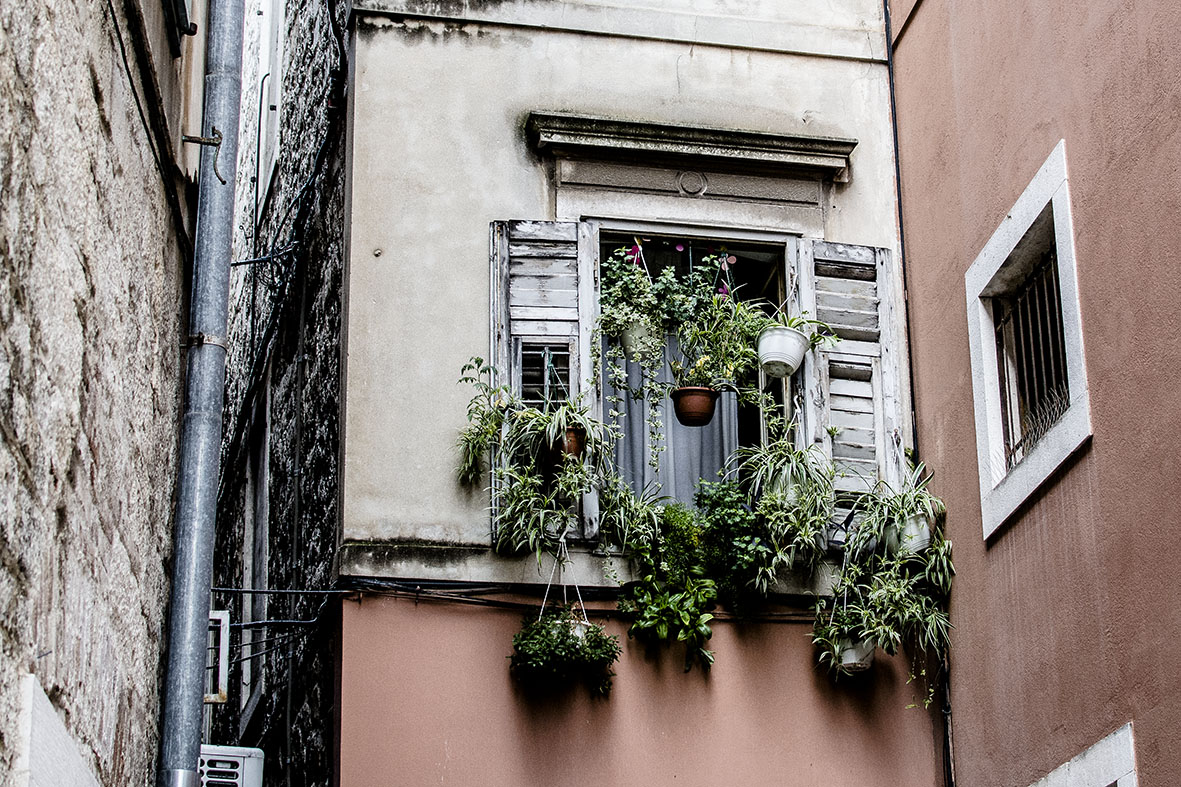 Fenster mit Grünlilien | chestnutandsage.de